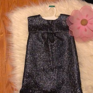 Beautiful Gap toddler dress
